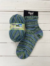 Load image into Gallery viewer, Opal Holidays 4 ply
