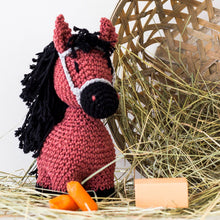 Load image into Gallery viewer, Hoooked Sienna Pony Crochet Kit
