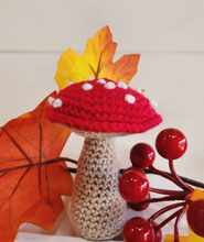 Load image into Gallery viewer, Mushroom Decoration Crochet Kit
